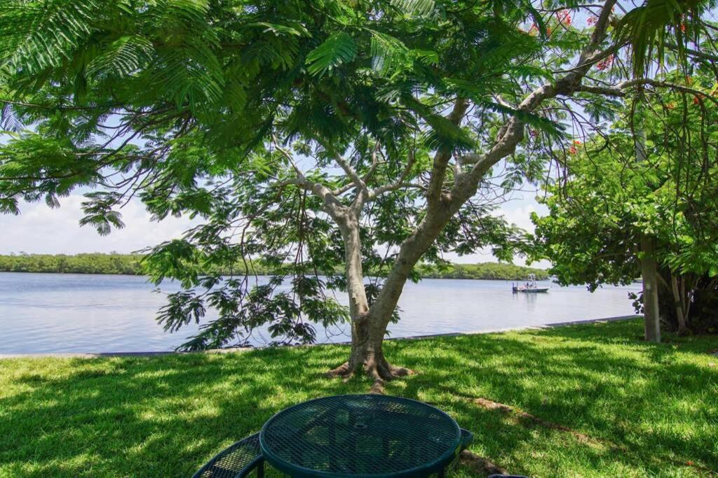 River Delight,Studio109, Beach & Pool Steps Away + Wifi Ruskin Dış mekan fotoğraf